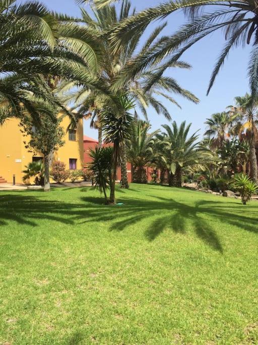 Corralejo Happy Place, Precioso Apartamento Con Piscina Eksteriør billede