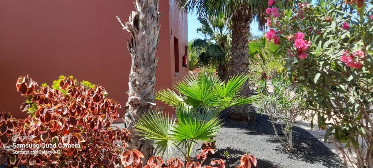 Corralejo Happy Place, Precioso Apartamento Con Piscina Eksteriør billede